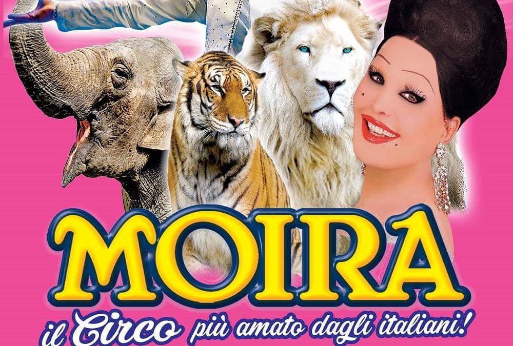 Il circo di Moira Orfei a Napoli a Natale e Capodanno